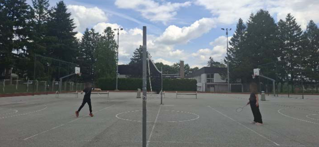 Našice – Sportske aktivnosti
